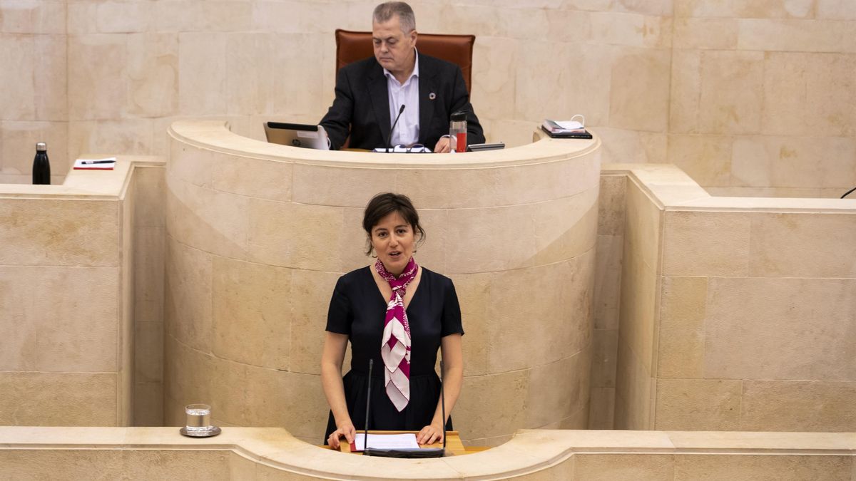 Paloma Navas, directora general de Salud Pública, en la tribuna del Parlamento. Imagen de archivo.