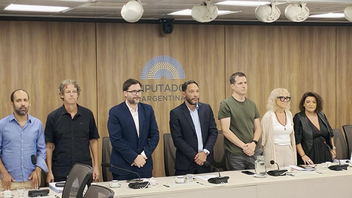 Los diputados opositores que integraron la comisión $LIBRA.