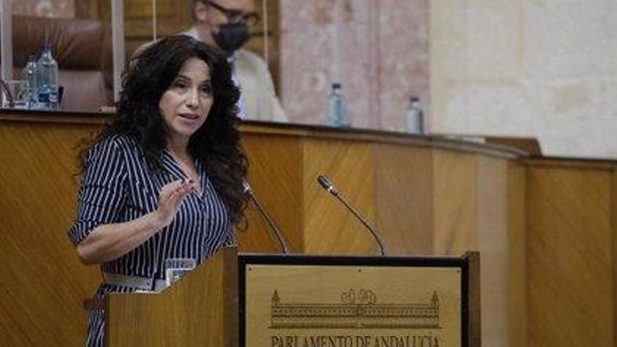 Andalucía renueva su ley de la infancia 23 años después con el único rechazo de Vox