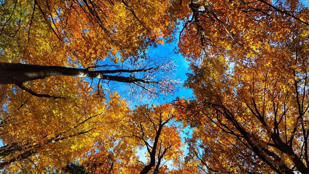 La Frageda d´en Jordà