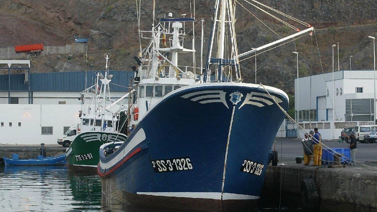 Los pescadores piden a los chefs ser flexibles con productos de segunda línea porque "el océano está confuso"