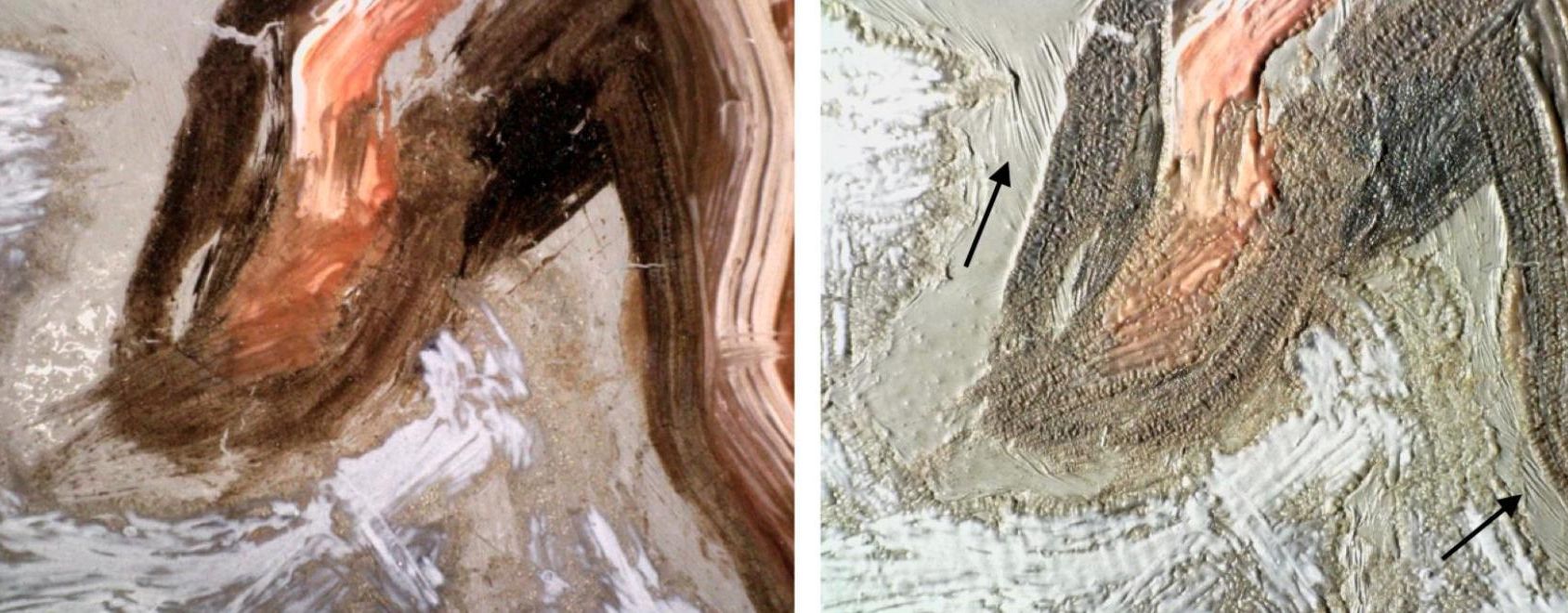 El uso de resina fósil influyó en la evolución del cuadro