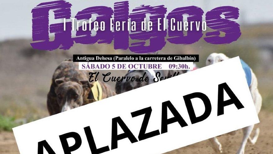 Suspenden una carrera de galgos en El Cuervo (Sevilla) tras pedir Pacma su documentación