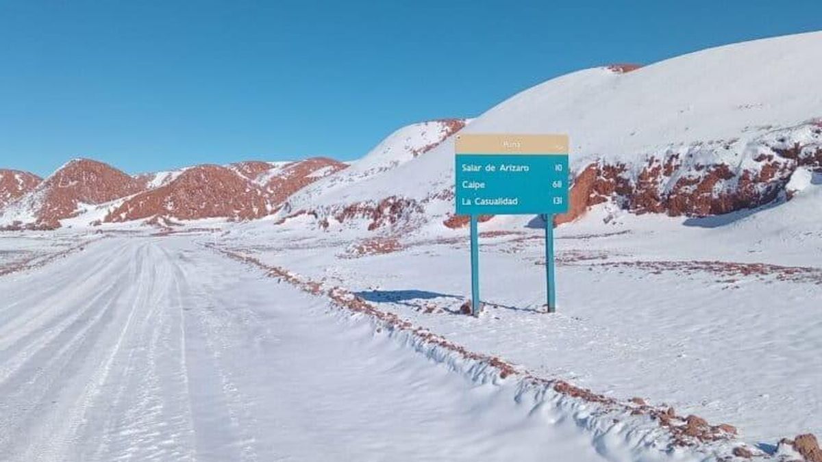La reserva Los Andes tiene un salar principal, llamado Arizaro, cuya mitad norte está dentro del área protegida. Foto: obtenida por Mongabay Latam