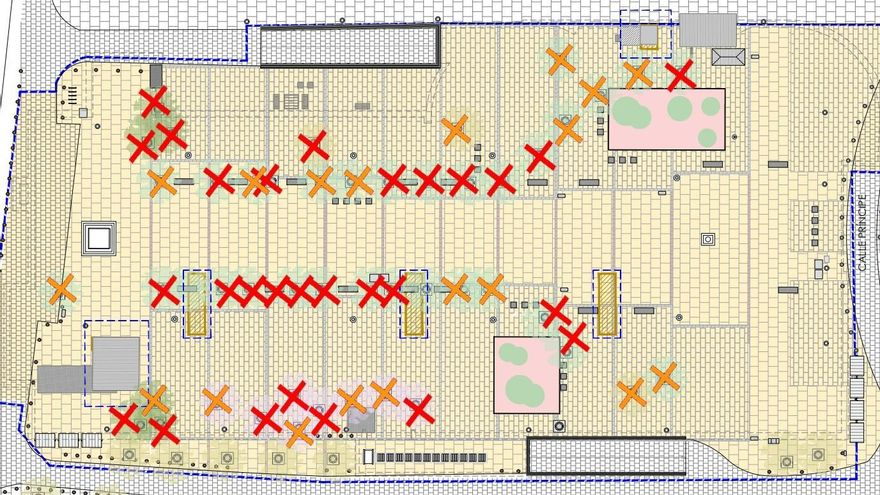 Más Madrid lamenta que el Ayuntamiento vaya "a talar el 85% de árboles" de Santa Ana y Almeida espera que se "reduzca"