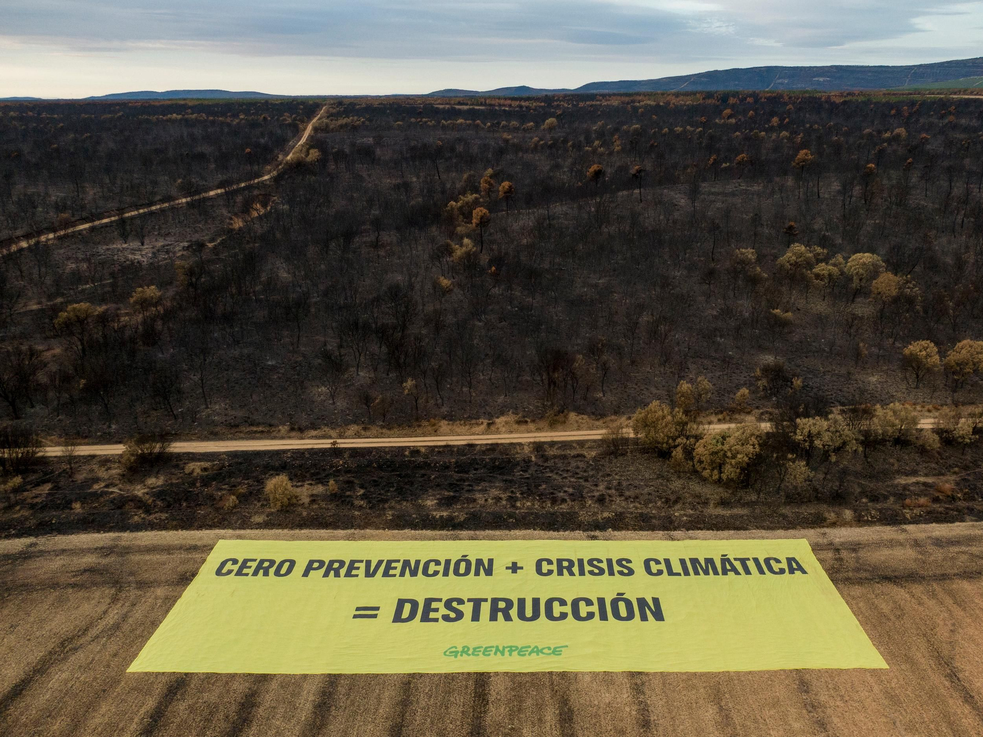 La devastación de los incendios del sur de León que impulsa la campaña internacional de Greenpeace