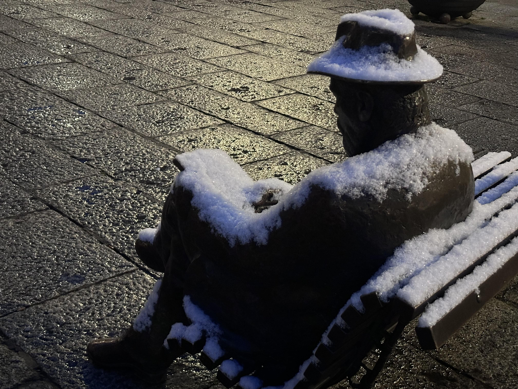 Postales de León nevado: las imágenes que deja la primera nevada del año en la capital