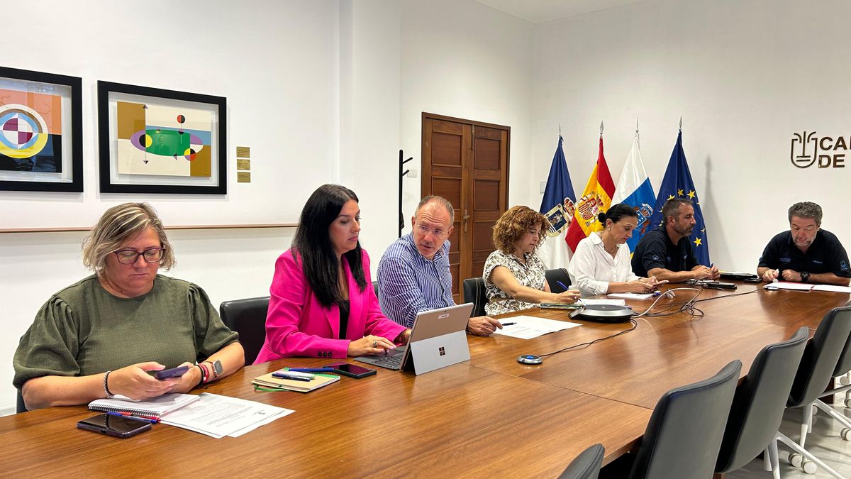 Comité Asesor del Peinpal (Plan de Emergencias Insular de La Palma).