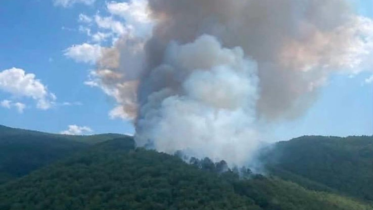 Incendio activo en Ojacastro: medios aéreos y terrestres tratan de sofocarlo