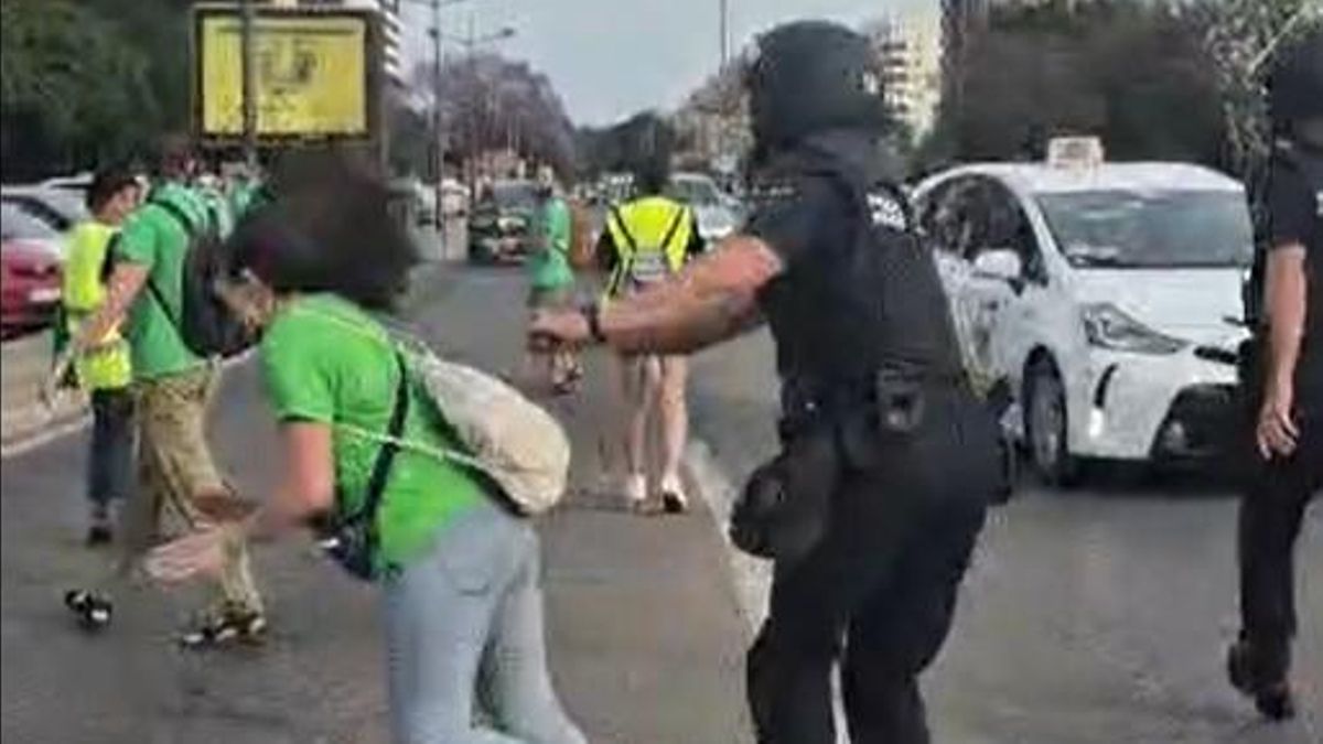 El Defensor del Pueblo pregunta a la Policía por la agresión de un agente a una docente en València