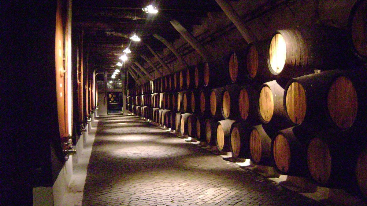 Interior de las bodegas Sandeman, una de las firmas históricas del vino de Oporto.