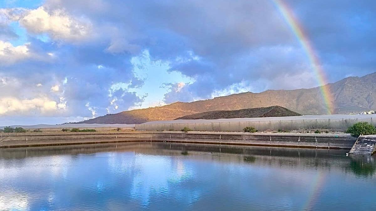 El tiempo no castiga: lenguaje, percepción y responsabilidad informativa en meteorología