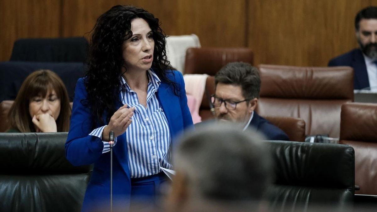 Ruiz remarca que están "manos a la obra" para buscar una solución a la problemática de los asentamientos