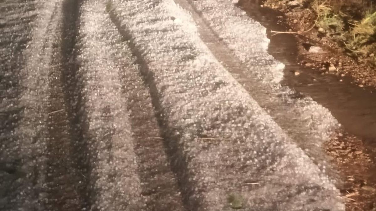Granizo caído en las Cinco Villas