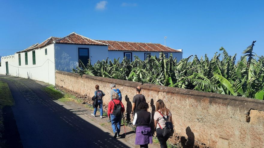 Senderistas caminan por el antiguo camino real de Daute, a la altura de la hacienda de Quiñones, en el municipio de Los Silos