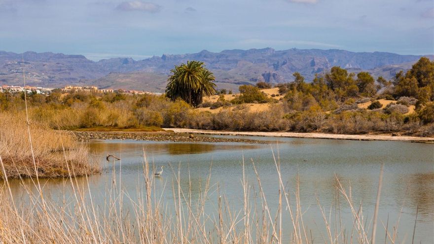 El proyecto europeo ‘Natalie’ permitirá controlar la contaminación de las aguas pluviales en Maspalomas