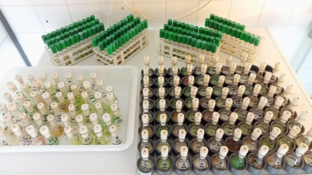 Cuidar de lo invisible