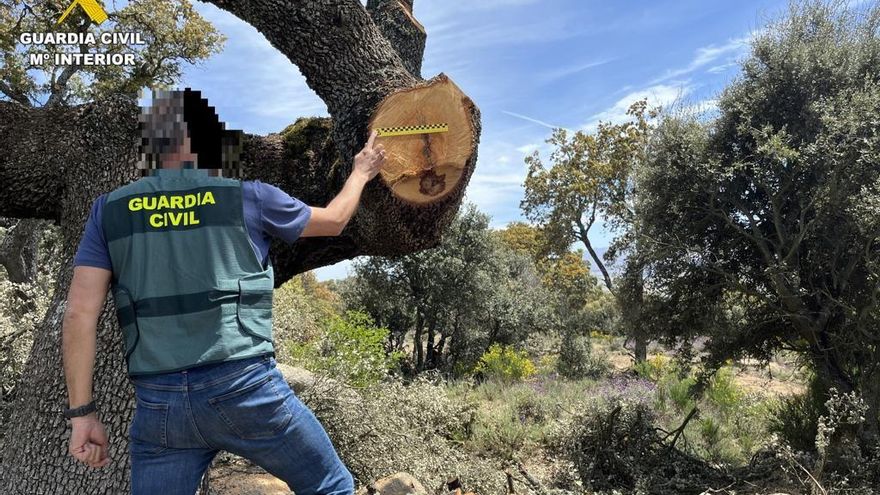 La Guardia Civil libera a siete víctimas sometidas a explotación laboral en una finca en Ávila