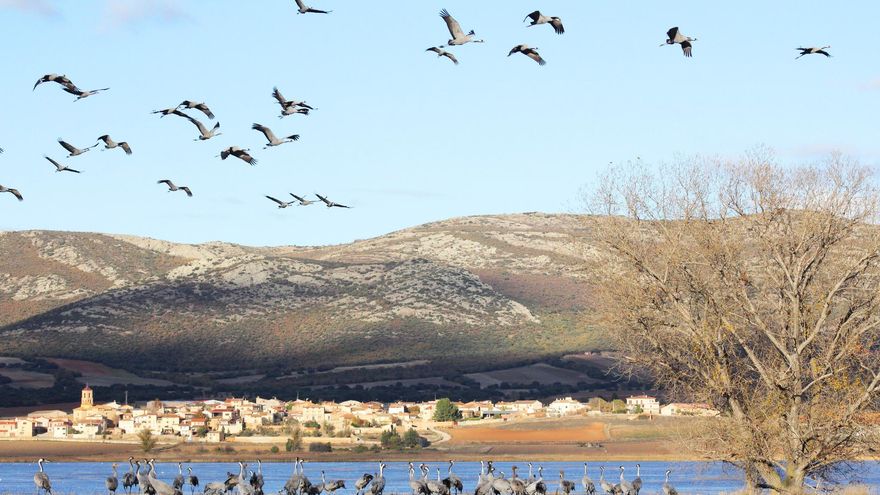 Los humedales de Aragón, entre la riqueza ecológica y el abandono institucional