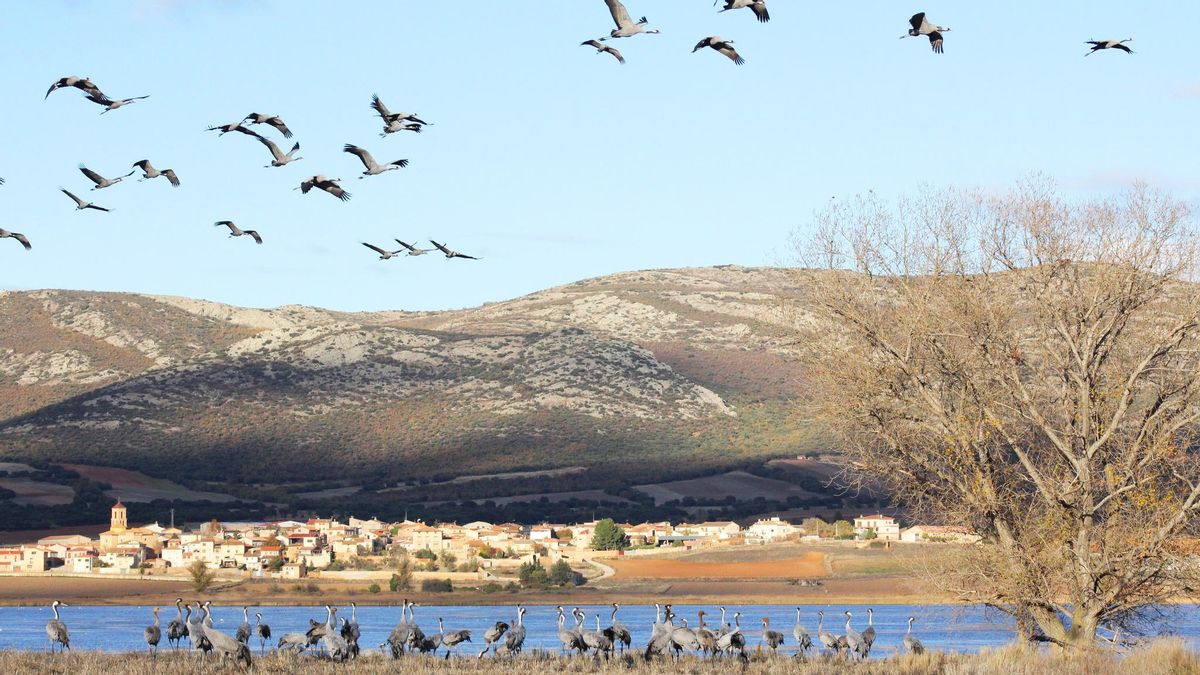 Los humedales de Aragón, entre la riqueza ecológica y el abandono institucional