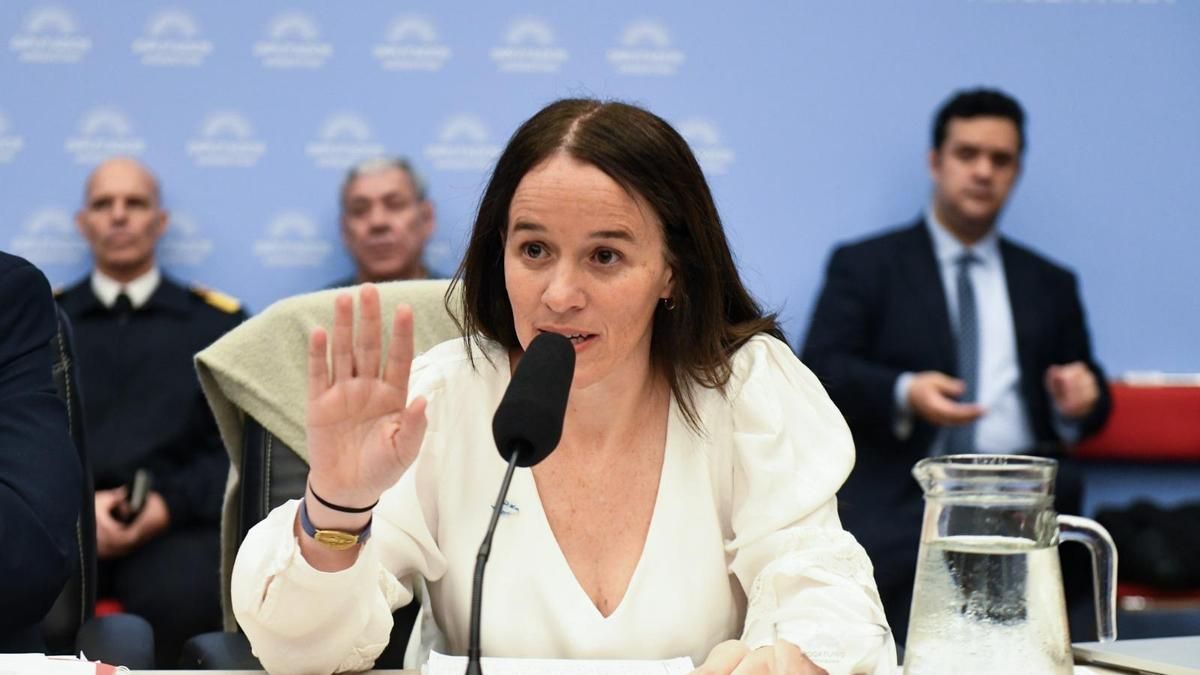 El Gobierno defendió el proyecto que habilita sanciones sin juicio previo y persigue “campañas de desinformación”