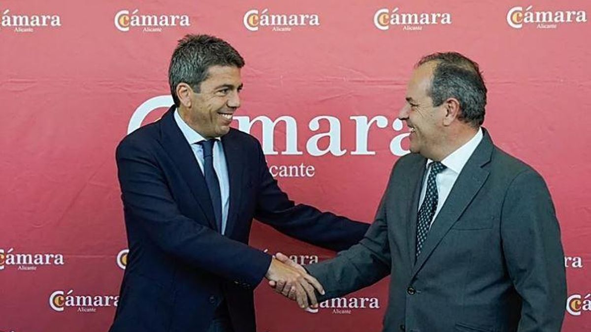 La Policía detiene al presidente de la Cámara de Alicante por presunta corrupción en el bono comercio que impulsó Mazón