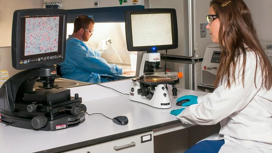 El empleo rebrota en febrero y hay 544 personas más con trabajo