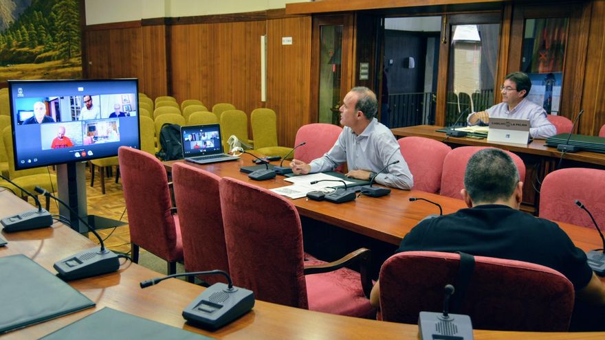 Un momento de la reunión por videoconferencia.