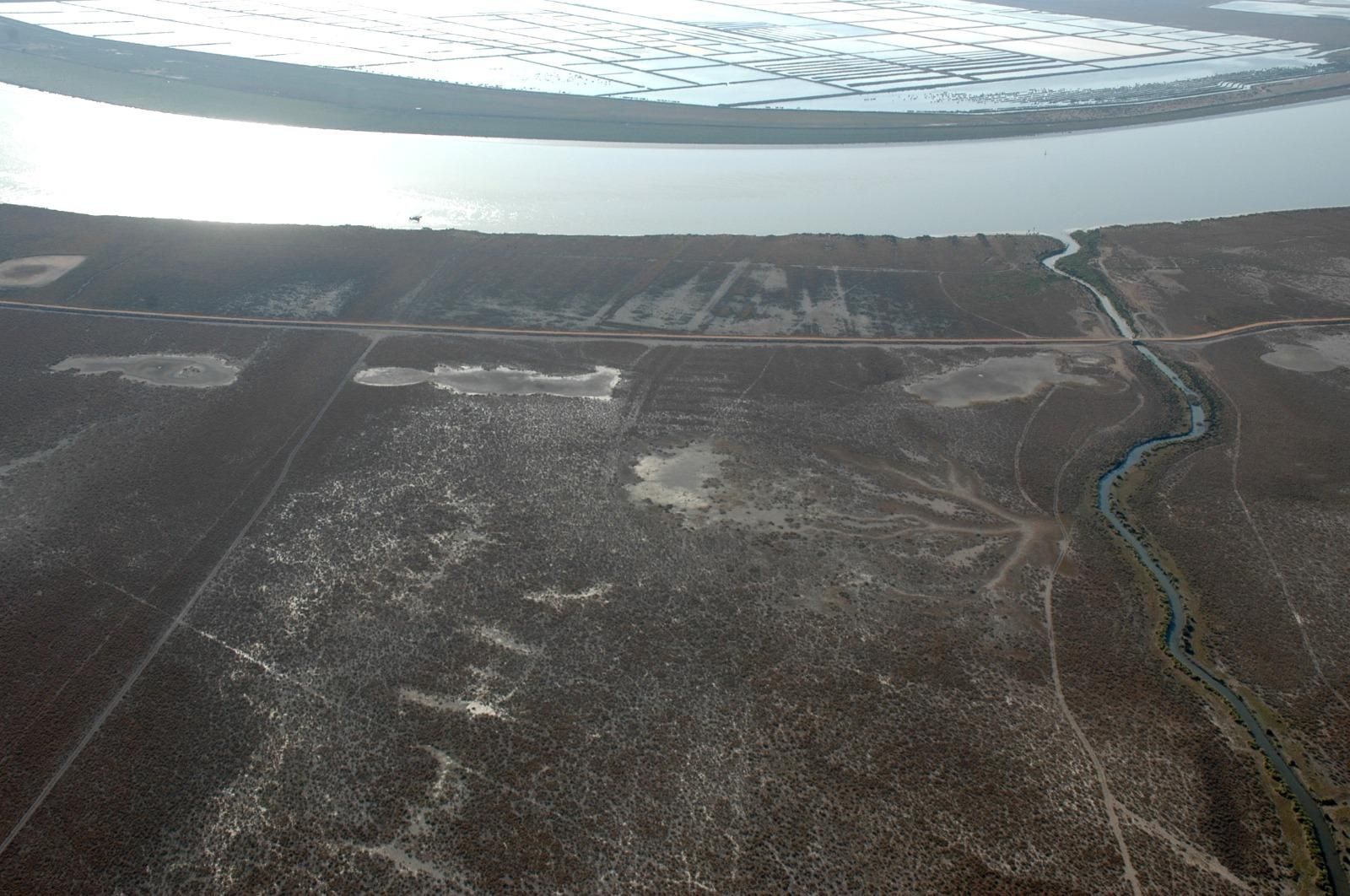 La Montaña del Río separa el Guadalquivir de la zona de marisma.