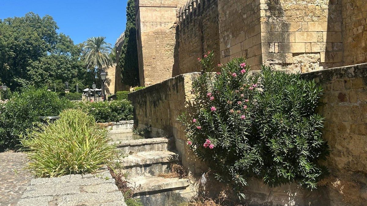 Entorno de la Puerta de Almodóvar