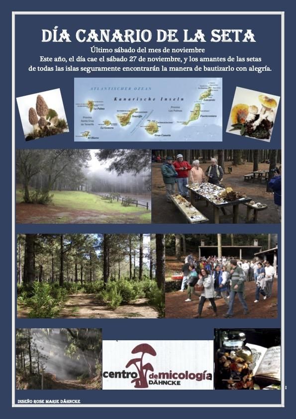 Cartel de Día de las Setas.