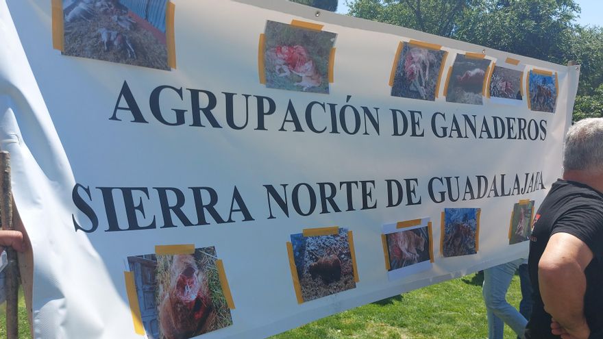 Los ganaderos de la Sierra de Guadalajara en la protesta