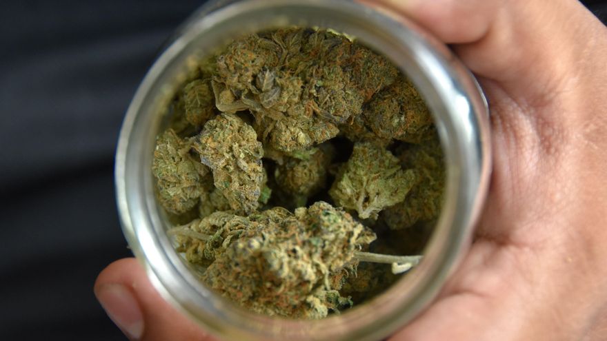 La legalización del cannabis aventura una nueva batalla parlamentaria entre el PSOE y sus socios