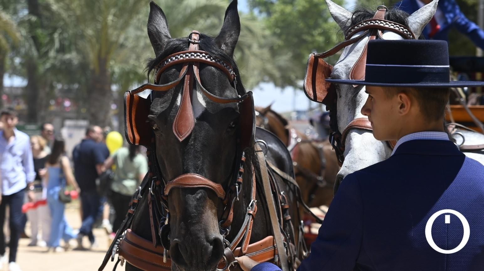 Ambiente de domingo en la feria