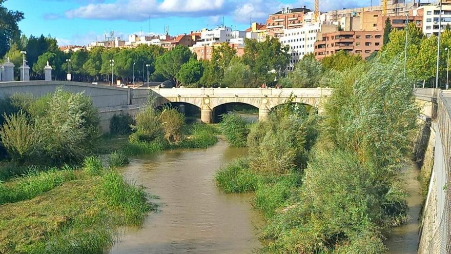 La polémica mascletá de Almeida no tiene contrato firmado ni informe de impacto ambiental a cuatro días de su celebración