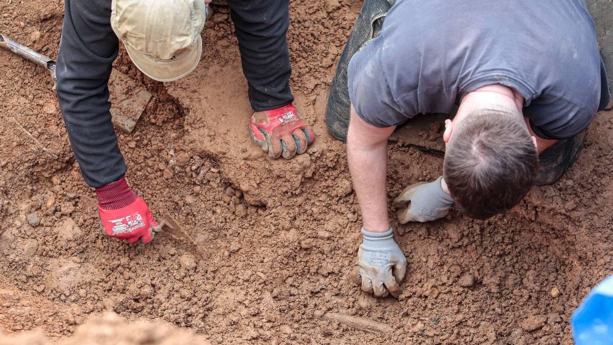 El Gobierno ofrece pruebas de ADN a familiares de desaparecidos en la Guerra Civil