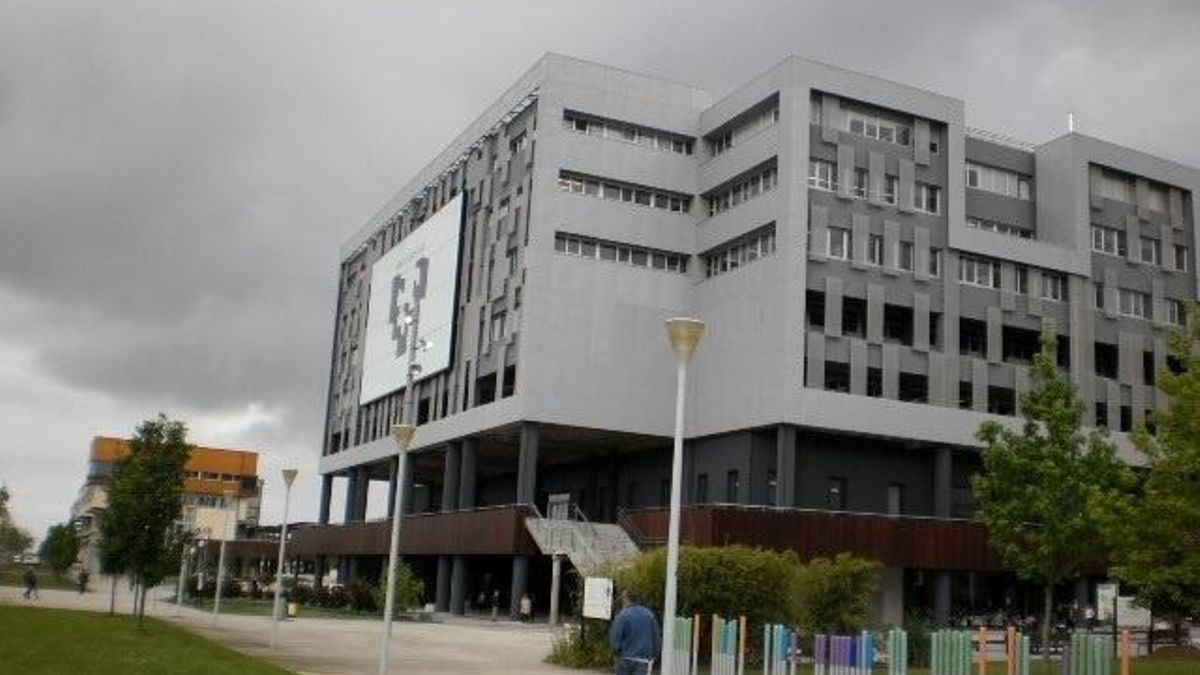 Universidad De Navarra Medicina Examen De Acceso