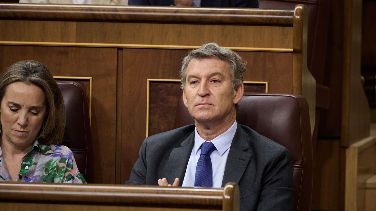 El presidente del PP, Alberto Núñez Feijóo.