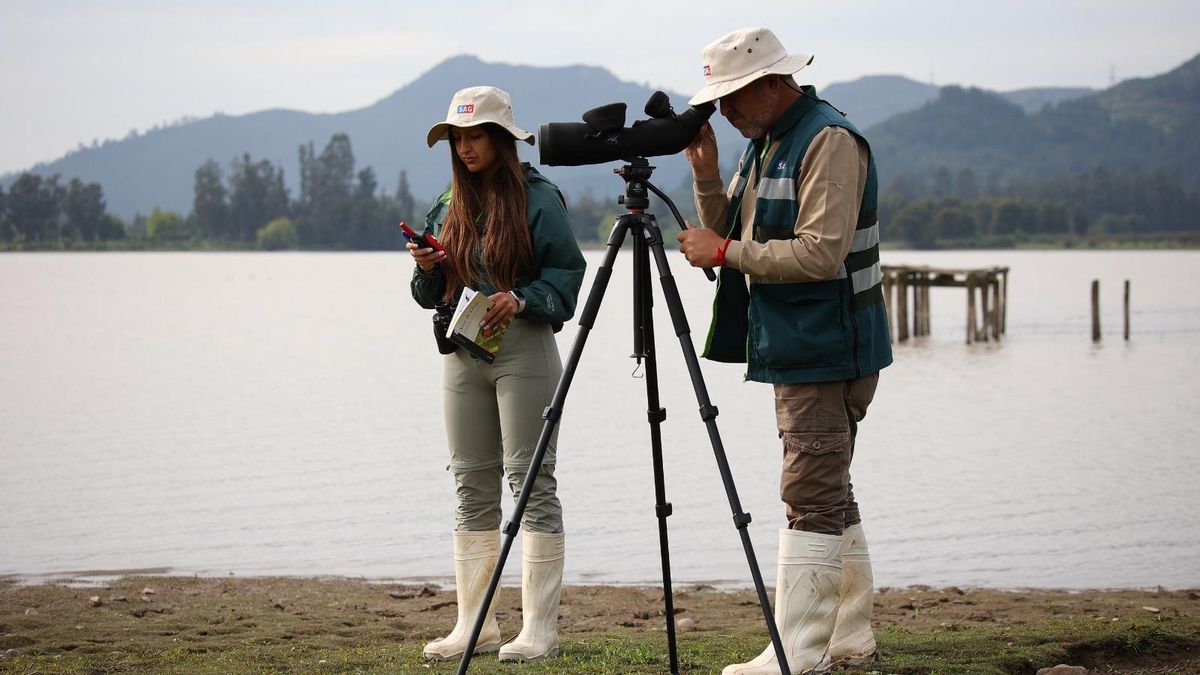 Monitoreo de aves en Chile. Más de 700 000 aves domésticas y al menos 739 aves silvestres de ocho especies han muerto por una variante agresiva y contagiosa de influenza aviar. Foto: cortesía SAG