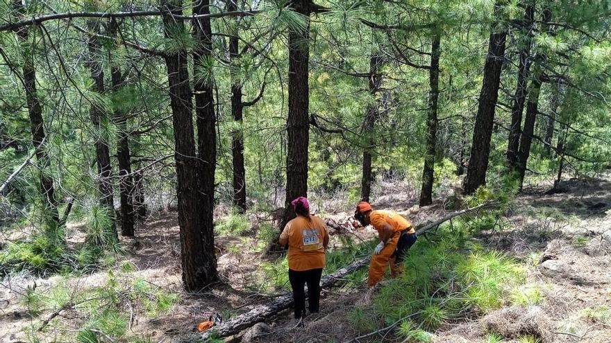 Formación a través del Plan Extraordinario de Empleo de La Palma.