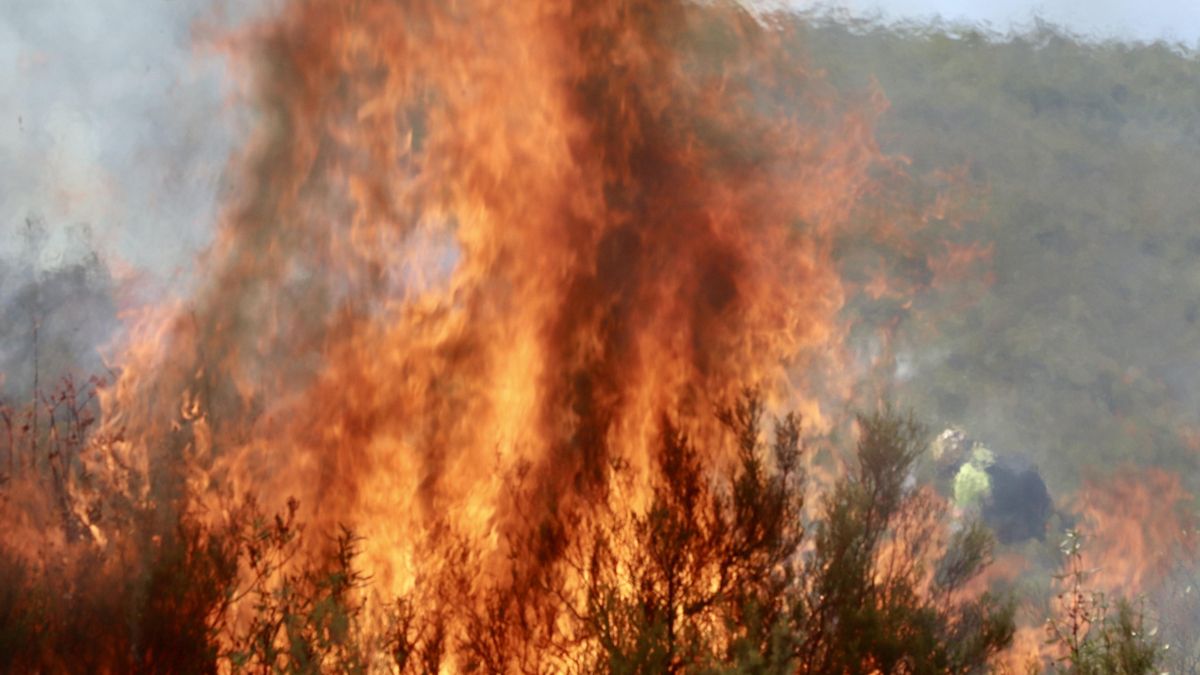 Ahora, Salamanca: un incendio en Ciudad Rodrigo se suma a la oleada de graves fuegos de Castilla y León