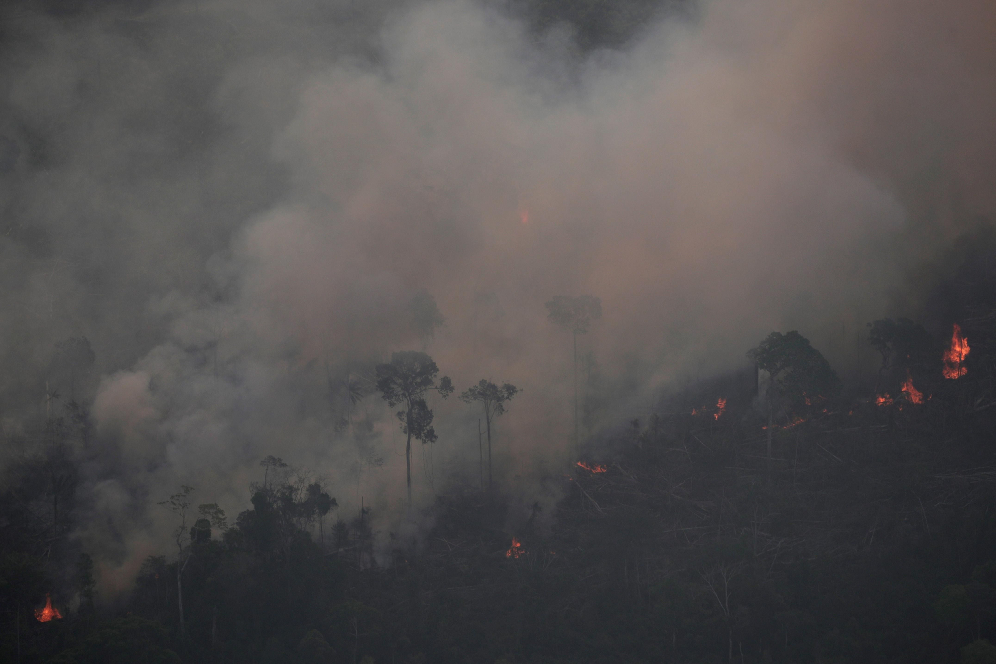 El humo envuelve la zona amazónica cercana a Porto Velho, 21 de agosto