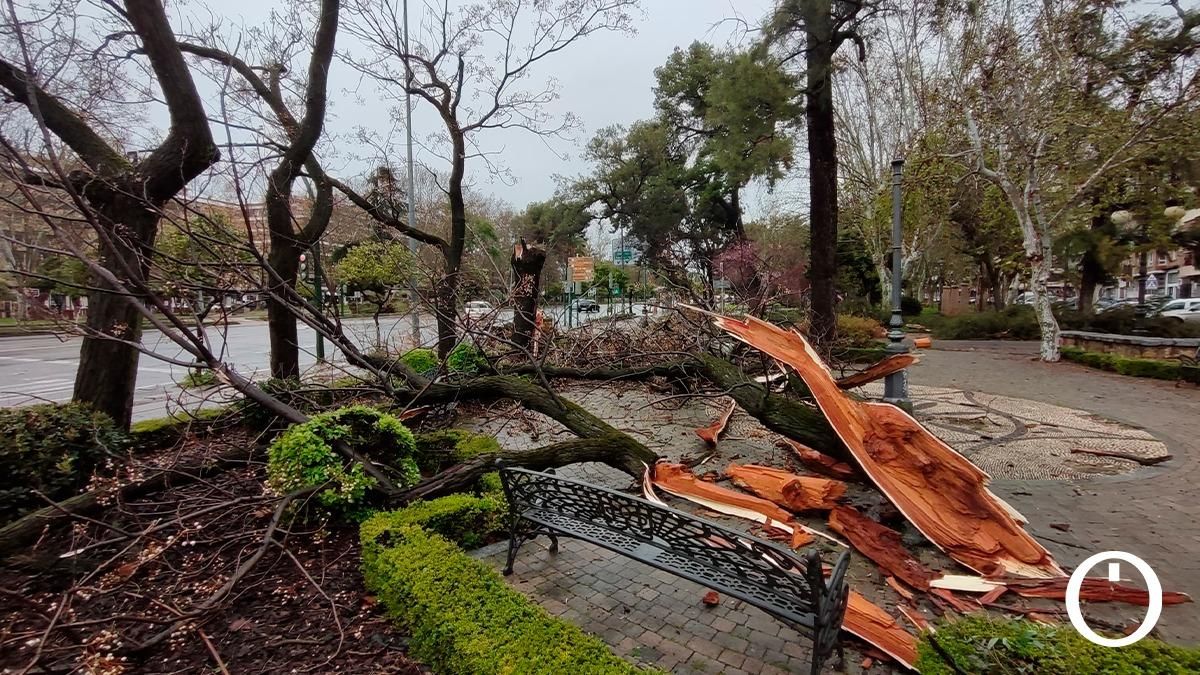 Los efectos del viento y la lluvia en Córdoba