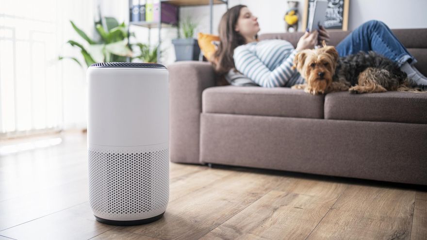 Purificadores de aire en casa: ¿ayudan realmente a combatir la contaminación y los alérgenos?