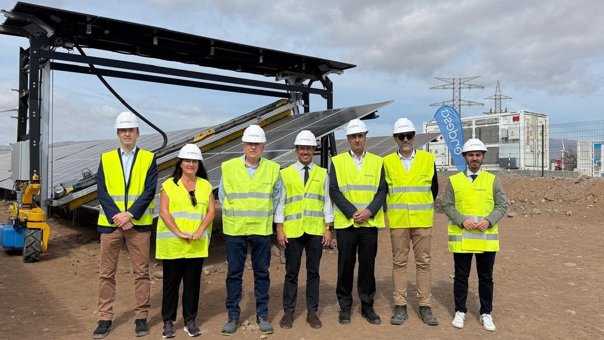 De izquierda a derecha: Miguel Asún, director de Generación Térmica de Endesa; Julieta Schallenberg Rodríguez, viceconsejera de Transición Ecológica y Energía de Canarias; Marco Aurelio Pérez Sánchez, alcalde de San Bartolomé de Tirajana; Mariano Hernández Zapata, consejero de Transición Ecológica y Energía de Canarias; Pablo Casado, director de Endesa en Canarias; Antonio Moset, director de Ingeniería y Construcción de Endesa; Alberto Hernández, director general de Energía del Gobierno de Canarias.