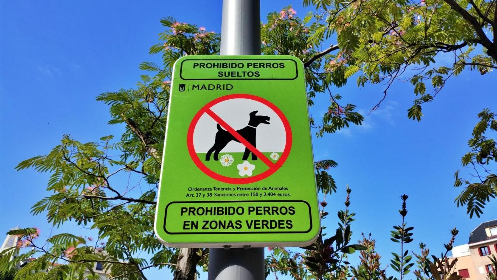 Recorrido foto a foto por la renovada plaza de Olavide