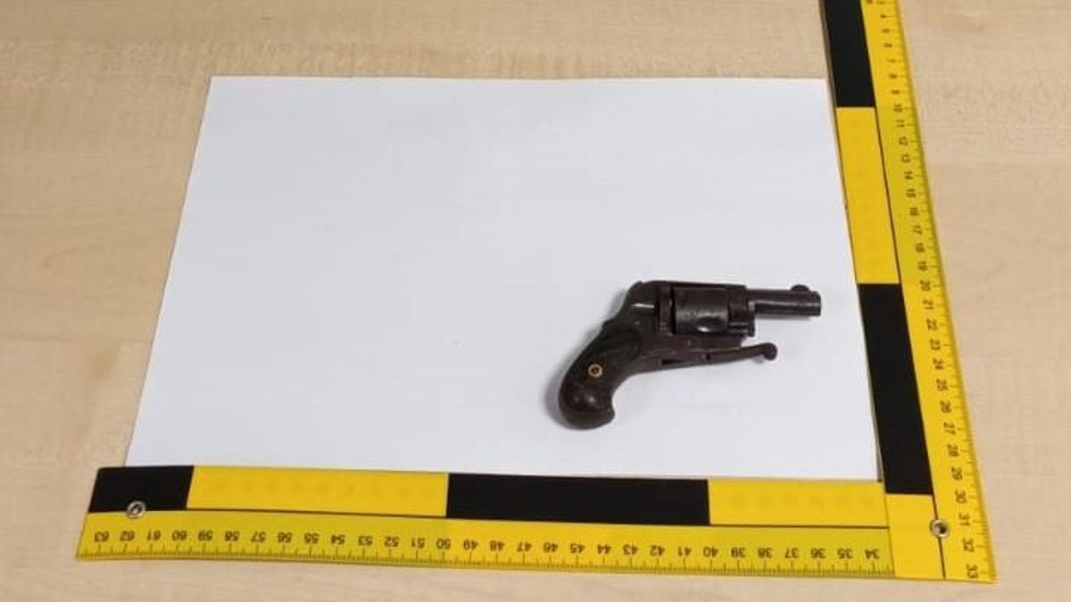 La Guardia Civil incauta un arma de fuego a un pasajero en el aeropuerto de Tenerife Norte