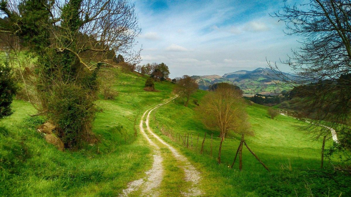 El pueblo prehistórico de Cantabria que conserva uno de los conjuntos de pinturas rupestres más singulares de España
