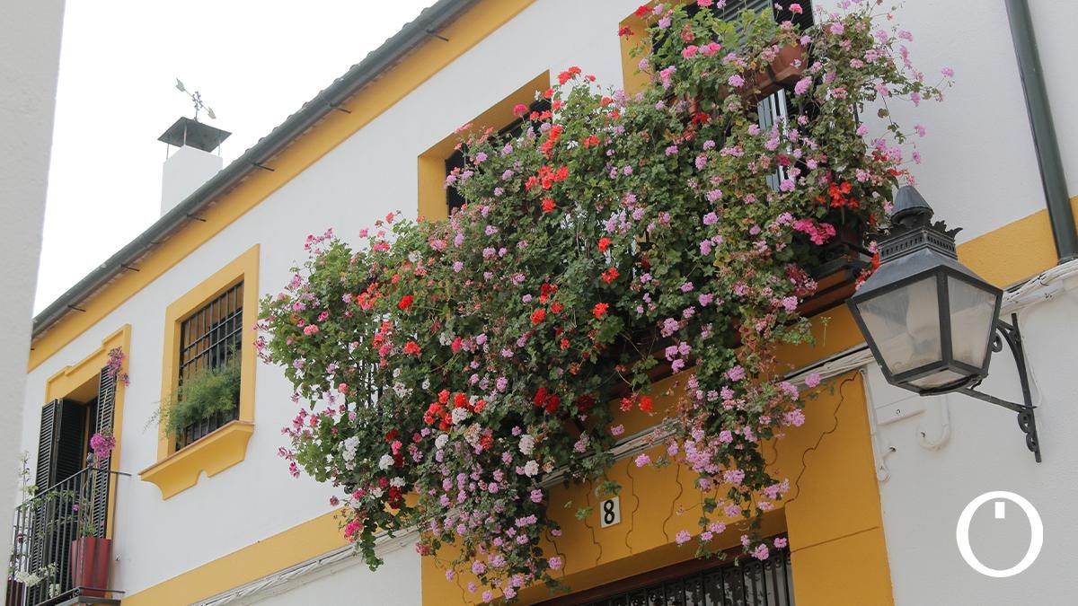 Rejas y Balcones en la C/ Terrones, 8
