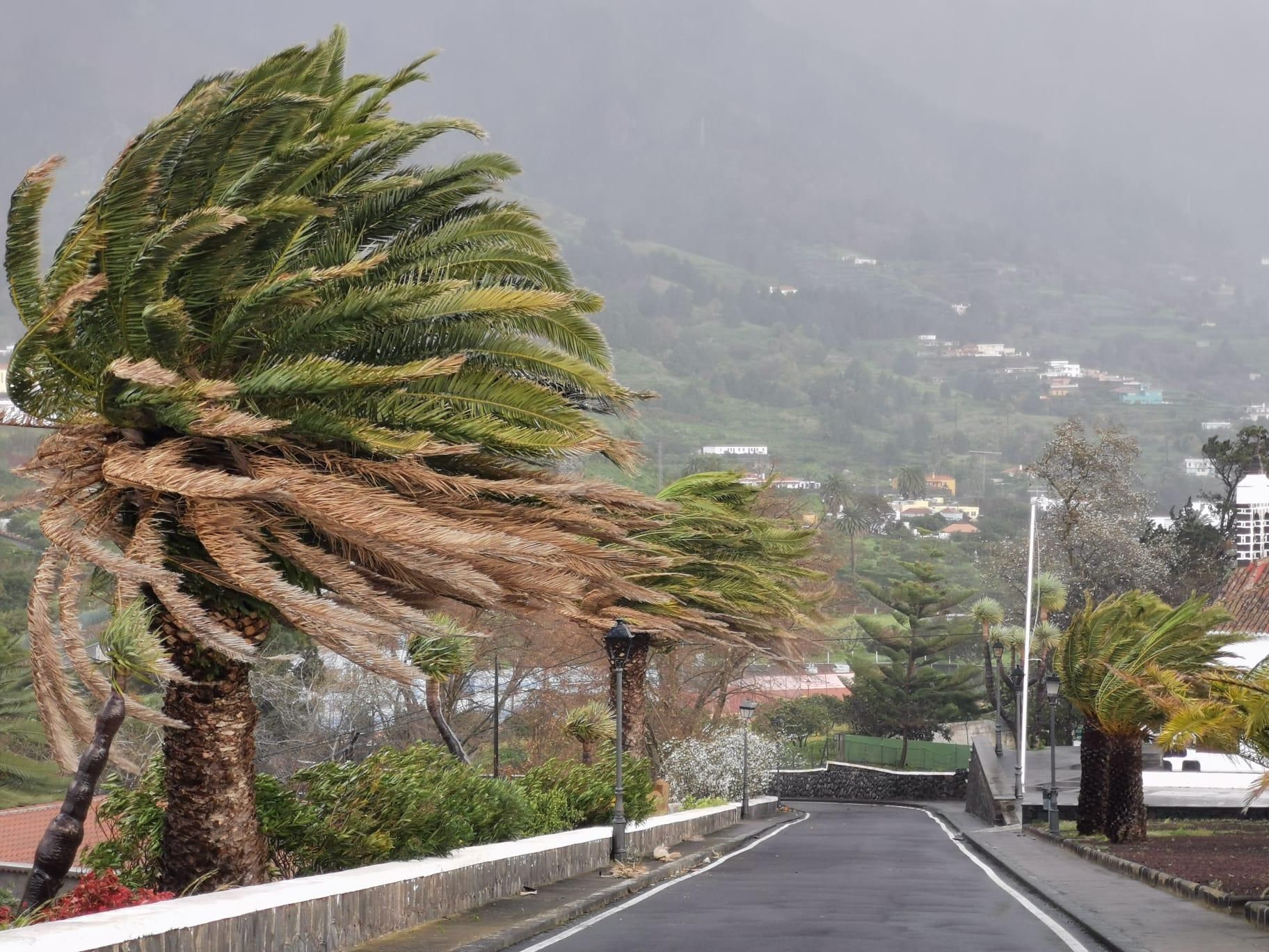Viento en el municipio de Breña Alta este lunes.